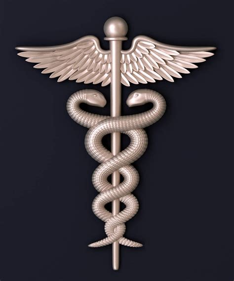 stl meaning medical|STL .